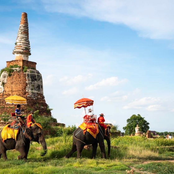 世界遺産アユタヤ_象乗り体験